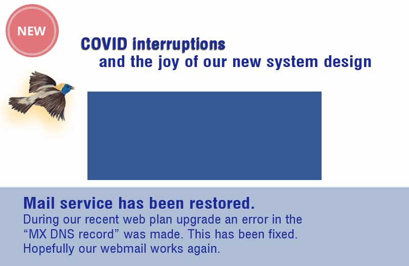 COVID interruptions